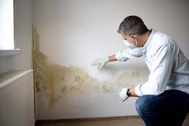 Mold Removal for HVAC Installations in Plandome, NY